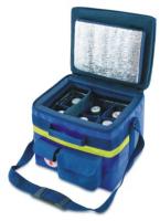 Thermo-insulating container with automatic heating and temperature regulation TK-"Medplant"